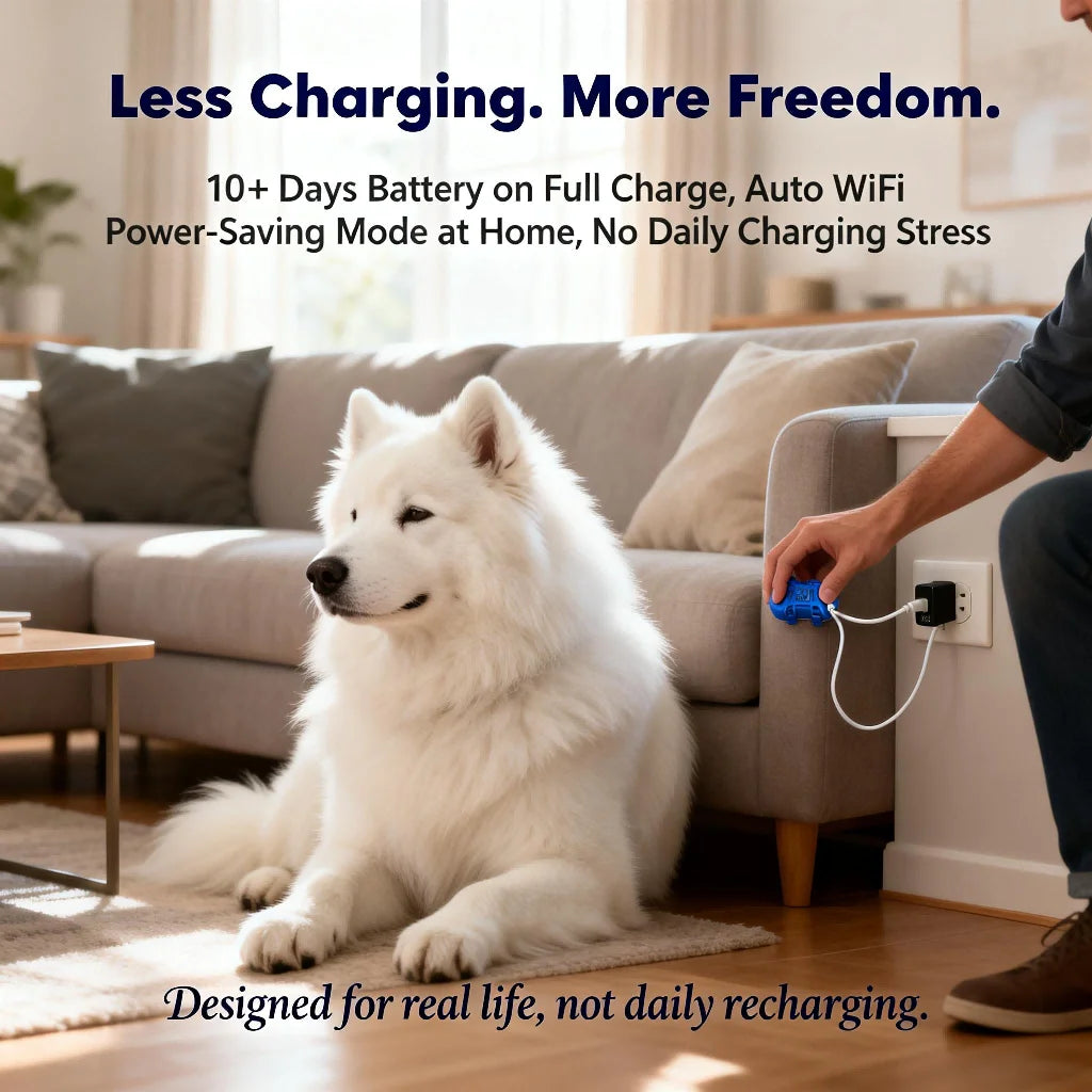 GPS Pet Tracker for Dogs Cats Real Time Tracking Unlimited Distance - QR Code Anti-Lost Locator with SIM - Subscription Required