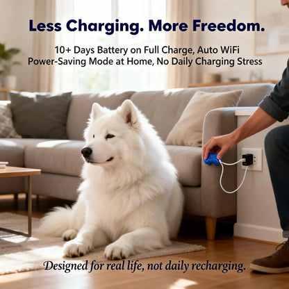 GPS Pet Tracker for Dogs Cats Real Time Tracking Unlimited Distance - QR Code Anti-Lost Locator with SIM - Subscription Required