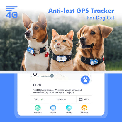 4G Mini GPS Tracker for Dot Cat – Waterproof Live Pet Locator with Android & iOS App - Subscription Needed