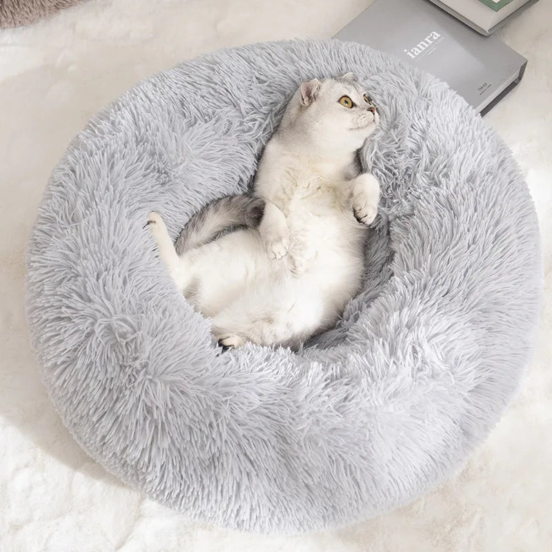 Large Round Plush Beds for Dogs & Cats
