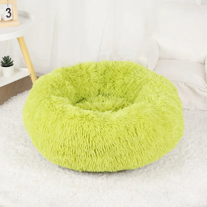 Large Round Plush Beds for Dogs & Cats